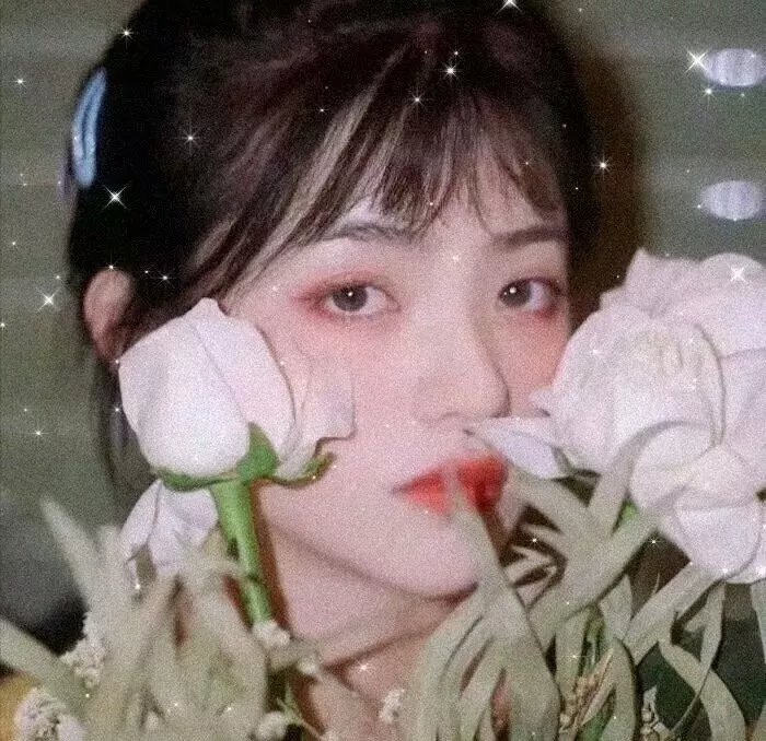 巴巴里海岸的火焰 在线观看封面