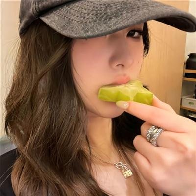 当哈维遇见鲍勃 在线观看封面